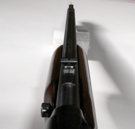 Hola, un compañero me ha dicho que ponga a la venta esta preciosa carabina semiautomática REMINGTON SPEEDMASTER 10