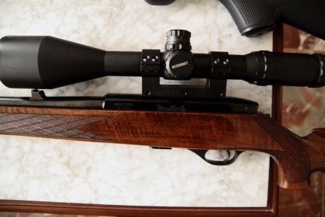 Pongo a la venta estos dos rifles, una carabina del .22 lr marca Weatherby Mark XXII con un cargador de 01