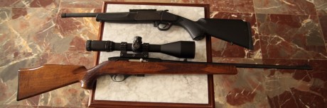 Pongo a la venta estos dos rifles, una carabina del .22 lr marca Weatherby Mark XXII con un cargador de 00
