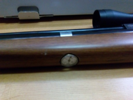 PPUES ESO . pongo a la venta este equipete de iniciacion al pcp 

consta de carabina bam 50 , como extras 01