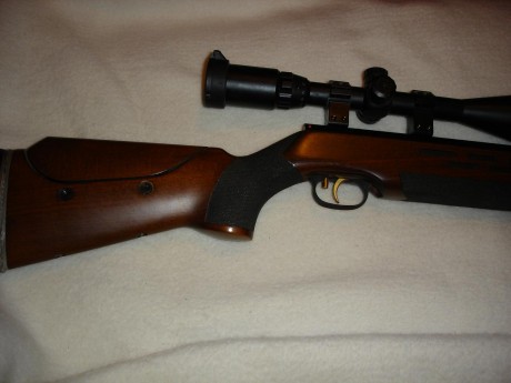 Hola a todos ,vendo esta preciosa carabina de 4,5 completamente impoluta y con poquisimo uso como se puede 01
