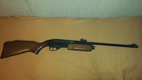 Buenas tardes: 

Vendo esta carabina GAMO G1200 cal 4.5 repetidora, la cual compre para pasarla a PCP 02