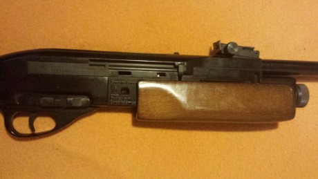 Buenas tardes: 

Vendo esta carabina GAMO G1200 cal 4.5 repetidora, la cual compre para pasarla a PCP 00
