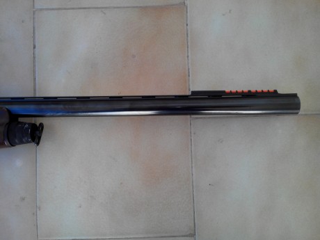 Cambio una escopeta repetidora, Benelli Premium Superligera, cañón de 66cm. , con cinco poli-choques interiores, 00