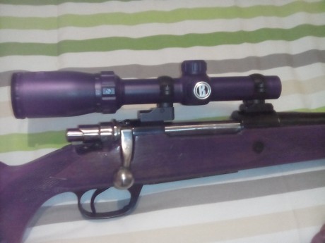 Vendo visor de batida bushnell sportman 1,5- 4,5 x 22 .  Tubo de pulgada, como nuevo. 
Monturas completas 10