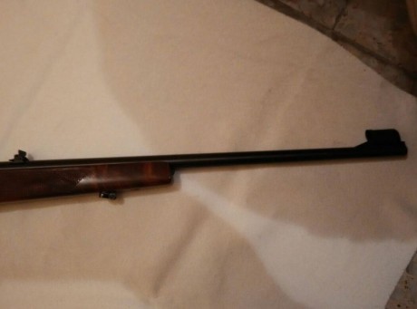 Hola, por enfermedad un amigo vende todas sus armas, En este caso se trata de una carabina semiautomática 02