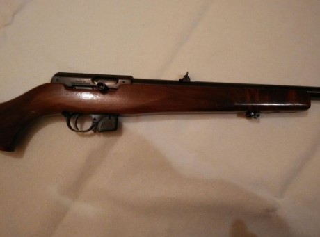 Hola, por enfermedad un amigo vende todas sus armas, En este caso se trata de una carabina semiautomática 01