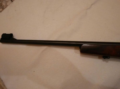 Hola, por enfermedad un amigo vende todas sus armas, En este caso se trata de una carabina semiautomática 12