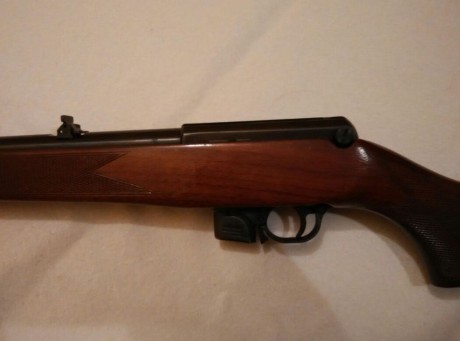 Hola, por enfermedad un amigo vende todas sus armas, En este caso se trata de una carabina semiautomática 11
