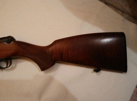 Hola, por enfermedad un amigo vende todas sus armas, En este caso se trata de una carabina semiautomática 10