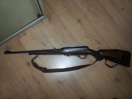Hola un compañero vende su carabina H&K 300, del calibre 22 WMR, el arma esta en Madrid y  funciona 02