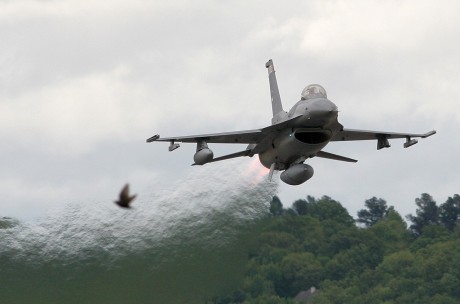 Pues eso, en este hilo pretendo deleitaros como amantes de los aviones de combate que sois muchos, con 121