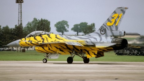 Pues eso, en este hilo pretendo deleitaros como amantes de los aviones de combate que sois muchos, con 22