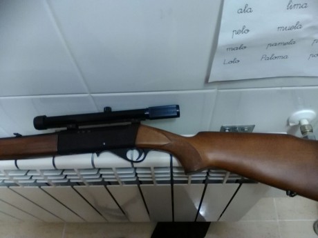 Caravina anschuzt calibre 22 con mira telescopica....cargador 10 tiros...semiautomático. ..precio 260 00