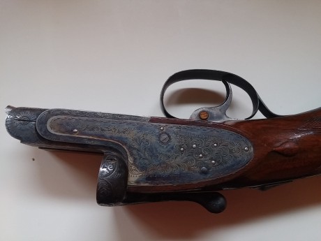 Buenas a todos
Resulta que me venden una paralela AYA n51 del año 1958, con selector de tiro,expulsores,monogatillo.cañones 40