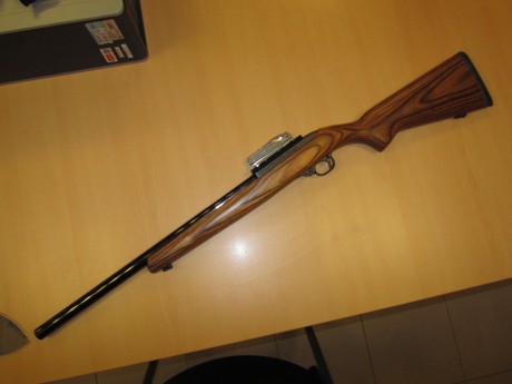 Vendo carabina Ruger 10/22 Target

Guiado con Licencia: De tipo A (no hay que esperar en la transferencia, 02