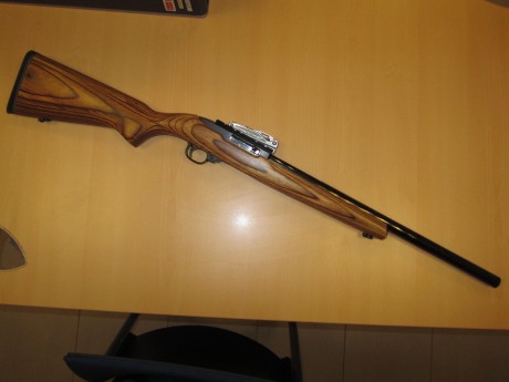 Vendo carabina Ruger 10/22 Target

Guiado con Licencia: De tipo A (no hay que esperar en la transferencia, 01