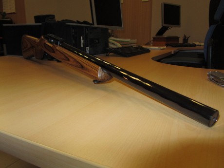 Vendo carabina Ruger 10/22 Target

Guiado con Licencia: De tipo A (no hay que esperar en la transferencia, 00