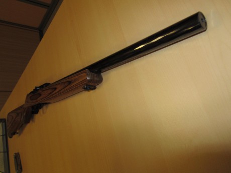 Vendo carabina Ruger 10/22 Target

Guiado con Licencia: De tipo A (no hay que esperar en la transferencia, 10