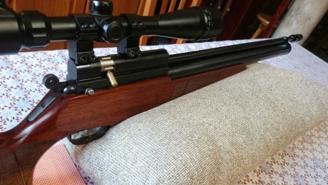 Un compañero me ha pedido que le ponga a la venta esta carabina:
Evanix ar6 hunting master
Regulador altaros
Cantonera 11