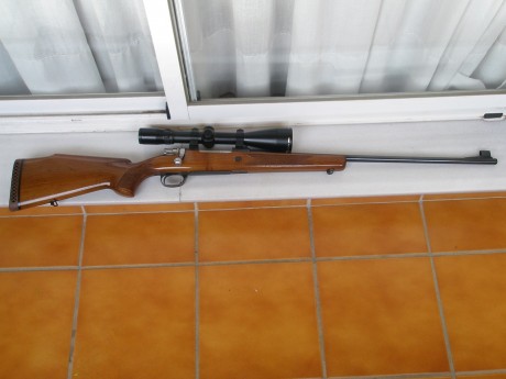 Vendo Santa Barbara Luxe 300 W.M. con visor BUSHNELL ELITE 4200 2.5-10X50 retícula iluminada y bases con 02