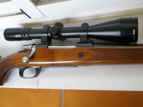 Vendo Santa Barbara Luxe 300 W.M. con visor BUSHNELL ELITE 4200 2.5-10X50 retícula iluminada y bases con 11