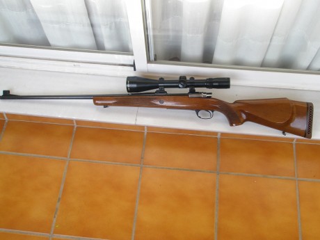 Vendo Santa Barbara Luxe 300 W.M. con visor BUSHNELL ELITE 4200 2.5-10X50 retícula iluminada y bases con 10