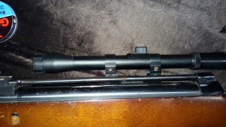 Vendo carabina de balines de 4.5 Gamo Expomatic 2100, con visor telescópico y funda. Tiene carril para 31