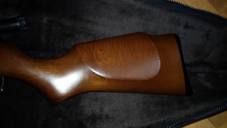 Vendo carabina de balines de 4.5 Gamo Expomatic 2100, con visor telescópico y funda. Tiene carril para 30