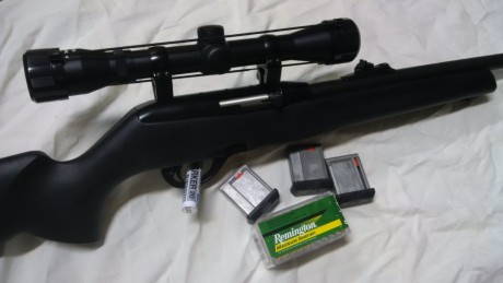 Hola, tengo interés en comprar una carabina semiautomática del calibre .22 Magnum.

Saludos 20