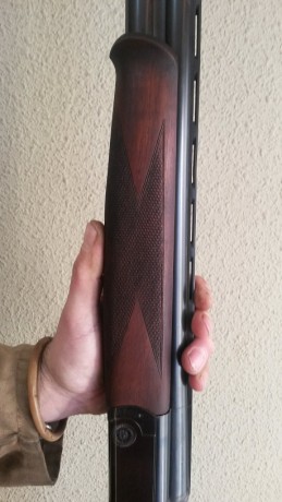 Vendo una Perazzi SC1

Gran oportunidad

Guardada en el armero y prefiero que alguien pueda disfrutar 20