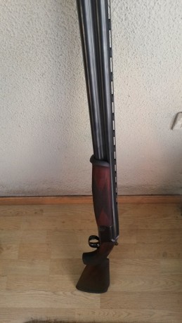 Vendo una Perazzi SC1

Gran oportunidad

Guardada en el armero y prefiero que alguien pueda disfrutar 30