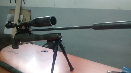 Hola me llamo Manuel y tengo 22 años ,desde siempre me an gustado los rifles ac y no desdescarto en un 02