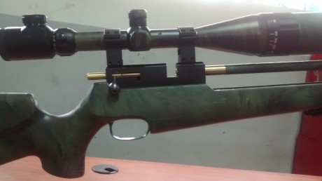 Hola me llamo Manuel y tengo 22 años ,desde siempre me an gustado los rifles ac y no desdescarto en un 01