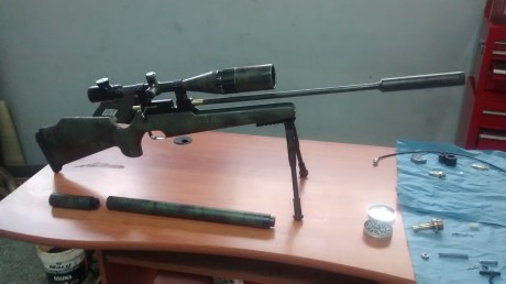 Hola me llamo Manuel y tengo 22 años ,desde siempre me an gustado los rifles ac y no desdescarto en un 00