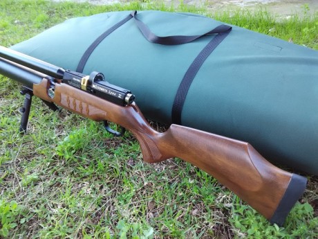 Hola, 
se vende cometa Lynx V10 MKI ,con cargador monotiro y multiro. No tiene ni un rasguño, desde que 01