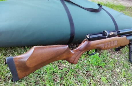 Hola, 
se vende cometa Lynx V10 MKI ,con cargador monotiro y multiro. No tiene ni un rasguño, desde que 10
