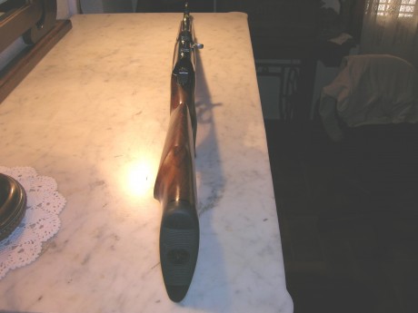 Rifle de alta gama, culata y guardamanos en madera grado 4, alza y punto de mira de alto contraste, cerrojo 02