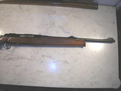Rifle de alta gama, culata y guardamanos en madera grado 4, alza y punto de mira de alto contraste, cerrojo 00