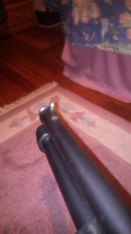 Vendo Stinger Tactical.

12/70. Magnum.

Cañón 47 cm.

Culata retractil, correa.

Año 2010. Apenas uso, 10