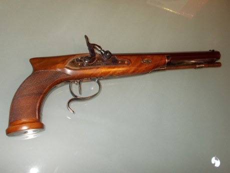Amigos. He decidido adquirir una pistola nueva y estoy dudando entre la rochate a paris de chiappa o la 60