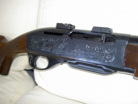 Vendo carabina remington semiautomatica cal 30 06 la compre de herencia para cazar pero no me gusta la 00