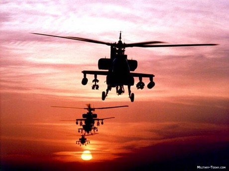 Pues eso, en este hilo pretendo deleitaros como amantes de los aviones de combate que sois muchos, con 61