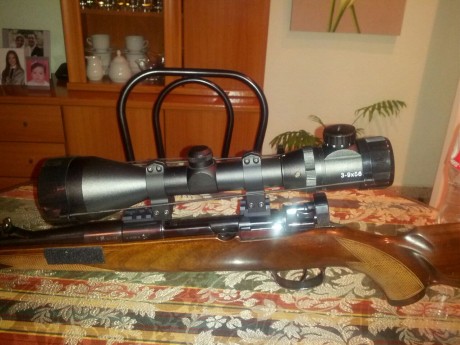 Vendo un visor 3-9x56 con retícula iluminada en 9 intensidades. Tubo de 30.
Tiene buena claridad para 00