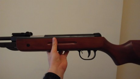 Hola buenas tardes, hoy no voy a ponero los dientes largos con fotos tirando en rafaga con el AK :twisted: 21