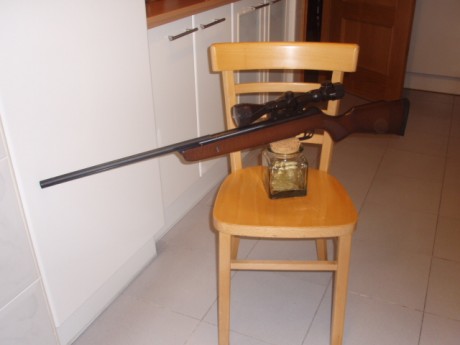 Hola

Como ya sabeis no puedo dejar una Gamo tal cual. Me  apañé una Gamo Zombie de oferta a un precio 02