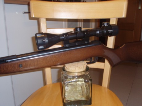 Hola

Como ya sabeis no puedo dejar una Gamo tal cual. Me  apañé una Gamo Zombie de oferta a un precio 01