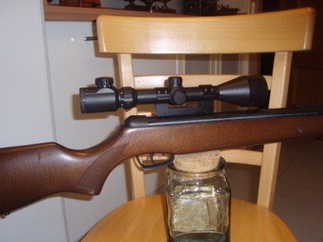 Hola

Como ya sabeis no puedo dejar una Gamo tal cual. Me  apañé una Gamo Zombie de oferta a un precio 00