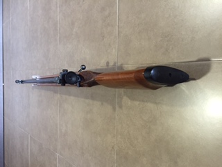 Se venden estas dos carabinas de tiro con diopter ambas y cañones pesados,
Están completamente nuevas 01