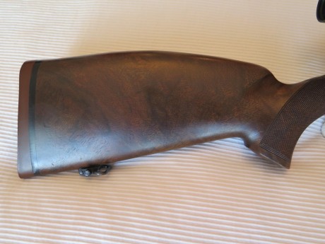 Buenos días compañeros
Vendo mi Browning Eurobolt 30-06, con monturas Apel 30mm, y visor Leupold European 32